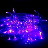 LED装飾文字列ライト、Fosa Battery Powered 100 LEDストリングライトクリスマスガーデンパーティー装飾withリモートコントロール fosap563dhy1ab-05
