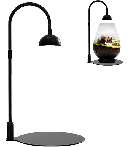 Amazon.co.jp: BARREL 正規代理店【YEW-7W】（ユー）ホワイト植物育成