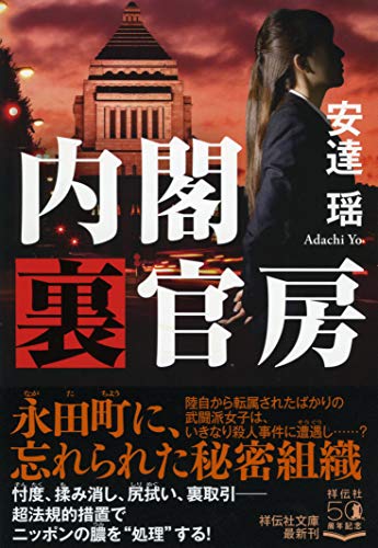 安達瑶:内閣裏官房 (祥伝社文庫)