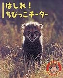 はしれちびっこチーター (羽仁進の愛情いっぱい動物記 10)