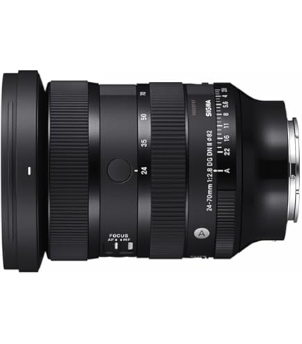 TAMRON 28-75mm F2.8 A036SF ソニーE用 ♯1277 TAMRON 28-75mm F2.8 RXD A036SF Lens for Sony-FE : Amazon.sg