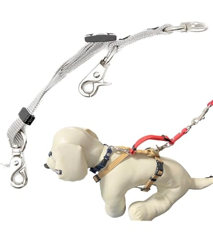 Amazon | 金色犬用チェーン首輪 316Lステンレス製 喜平デザイン