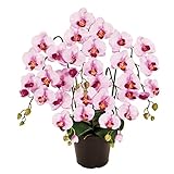 MAGIQ 東京堂 上質な造花 ピュアオーキッド  5本立  ラベンダー ZV006100-050