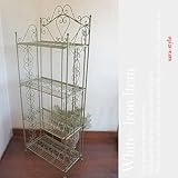 ウィズリー・シェルフ* *