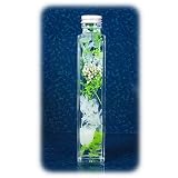敬老の日【ハーバリウム】誕生日 記念日 結婚祝い 贈り物 ギフト 全10色 ギフトバッグ付 いけばな嵯峨御流師範監修 手作り【エクリュホワイト】