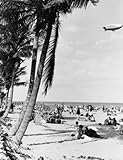 c1933 photo Beach scene with palm trees in foreground and Goodyear blimp above/photo by G.W. Romer, 