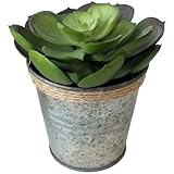フェイクプランツ 多肉植物 バケツB DECOR IMITATION BLIKI L