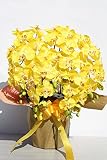 アートフラワー造花・高級胡蝶蘭９輪5本立てラッピング付き・光触媒品