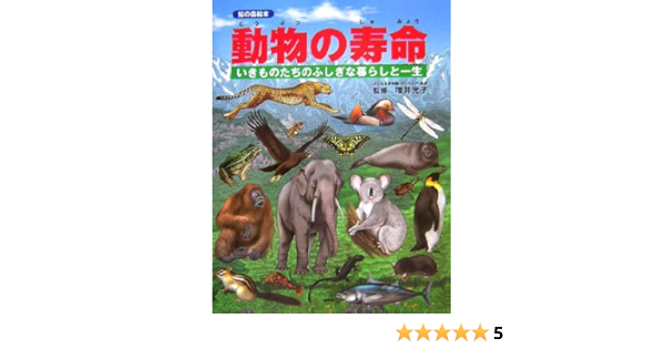 動物の寿命 いきものたちのふしぎな暮らしと一生 知の森絵本 光子 増井 本 通販 Amazon
