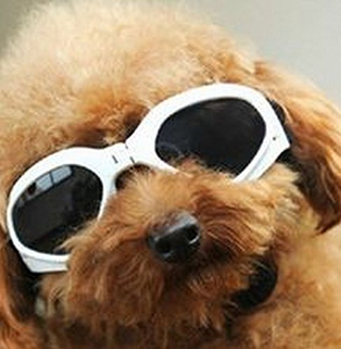 かわいい キュート 小型 犬 用 サングラス ゴーグル メガネ ペット 用品 グッズ ホワイト イエロー ピンク ブルー (ホワイト S)