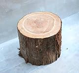 杉切り株 高さ約30cm