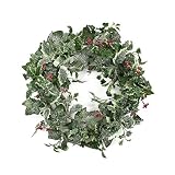 24" Frosted Holly Berry and Ivy Artificial Christmas Wreath - Unlit