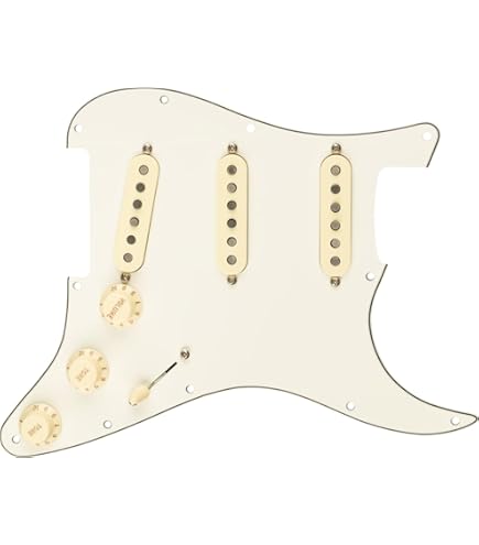 Amazon | 純正品◇ Fender Custom Shop Texas Special Stratocaster