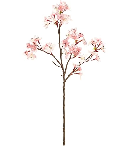 Amazon｜ReCO MAGIQ みちる桜バイン ライトピンク FM300393-002 東京堂
