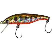 Amazon.co.jp: パームス ラピッド45S チャートヤマメ : スポーツ