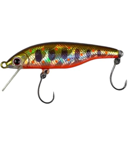 Amazon.co.jp: パームス RAPID ラピッド 45S 35th AL-519 裏