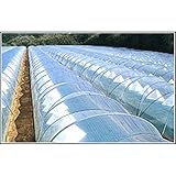 農ビ トンネルエース 長さ100m×厚さ0.05mm×幅185cm トンネル 専用 三菱樹脂アグリドリーム タ種D