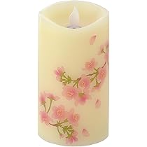 51DHJ9718HL._AC_UL210_SR210,