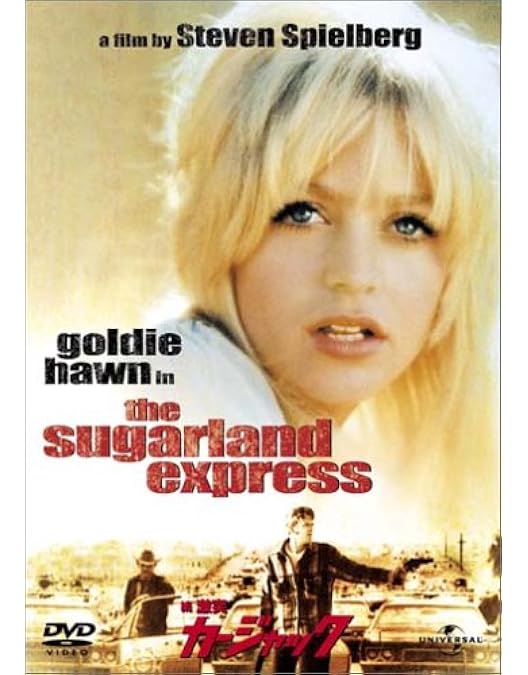 洋画　DVD ２枚セット　潮風のいたずら、ローズ家の戦争【激レア商品】バラ売り可 Amazon.co.jp: 潮風のいたずら [DVD] : ゴールディ・ホーン, カート