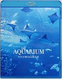 THE AQUARIUM ���吅���̂��鐅����