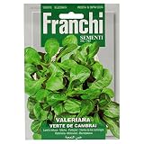 野菜の種 マーシュ VERTE DE MBRAI 140/6