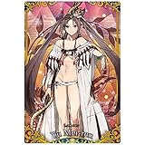 Fate/Grand Order ウエハース10 [14.R：ランサー/虞美人](単品)※カードのみです。お菓子は付属しません。