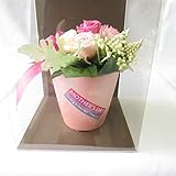 プリザーブドフラワー 母の日 プレゼント 花 フラワーアレンジメント 母の日ギフト ホコリも安心のクリアケース入り (ピンクポット)