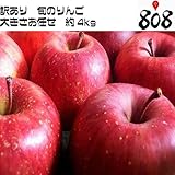 【長野県産】訳あり　トキりんご 津軽りんご　他　旬のリンゴ　色　大きさおまかせ　約4kg