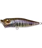 Amazon.co.jp: メガバス(Megabass) ルアー POP-X GG チャートバック