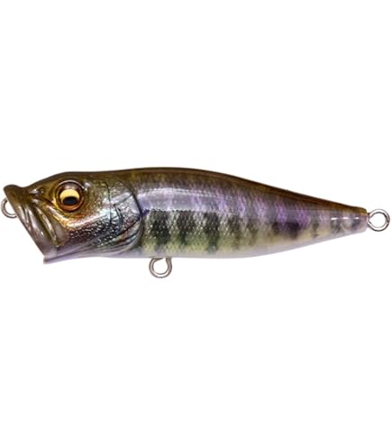 Amazon.co.jp: メガバス(Megabass) ルアー POP-X GG チャートバック