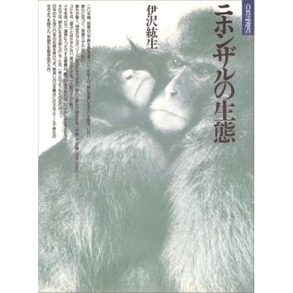 狩猟生活 2020vol 6 罠猟入門 別冊山と溪谷 山と溪谷社 本 通販 Amazon