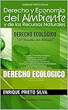 DERECHO ECOLOGICO (Spanish Edition)