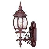 Acclaim 5150BW/SD Chateau Collection 1-Light Wall Mount Outdoor Light Fixture, Burled Walnut [並行輸入品]