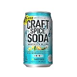 缶チューハイ サッポロ クラフトスパイスソーダ 350ml × 1ケース / 24本 チューハイ 缶