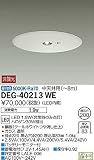 大光電機 非常灯 DEG40213WE