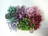 プリザ　あじさい　アンティークカラー アソート