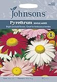 英国ミスターフォザーギルズシード＆ジョンソンシードPyrethrum Large Flowered Hybrids ピレスラム・ラージ・フラワー
