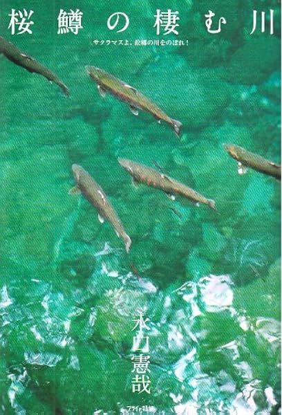 桜鱒の棲む川 サクラマスよ 故郷の川をのぼれ 水口 憲哉 本 通販 Amazon