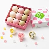 菓匠 髙木屋 新感覚の和菓子紙ふうせん 9個入 箱