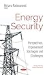 Energy Security: Perspectives, Improvement Strategies and Challenges (Energy Policies Politics and P)