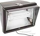 RAB Lighting FF42QT Compact Fluorescent Future Floodlight Lamp, Aluminum, 42W Triple Power, 3200 Lum