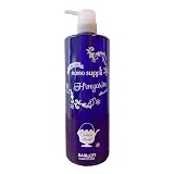 サニープレイス ナノサプリ クレンジング ヒンヤリンシャンプー エキストラクール 1000ml [並行輸入品]