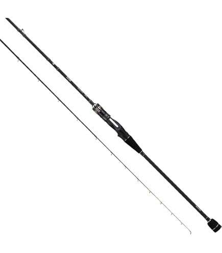 Amazon | ダイワ(DAIWA) 極鋭マゴチ 216 | Daiwa | 船竿
