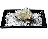 [アイエスピー]ISP 029 パワーストーン ヒマラヤ産 天然 未加工 水晶クラスター 強力...