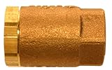 Aviditi 11532AVI Spring Check Valve with Threaded End, 1/2-Inch IP by Aviditi