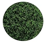 GREEN STUFF WORLD グリーンスタッフワールド ランドスケープ用パウダーリーフ ダークグリーン(200ml) ホビー用素材 GSWD-11177