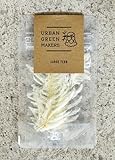 URBAN GREEN MAKERS Leaf　リーフ　UGMカスタムパーツ (LARGE FERN)