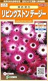 サカタのタネ 実咲花7820 リビングストンデージー 美色混合 00907820