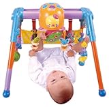 うちの赤ちゃん世界一 全身の知育メリー&ジム