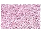 The Rug Market Shaggy Raggy Pink Children's Area Rug, 2.8' x 4.8' by The Rug Market [並行輸入品]